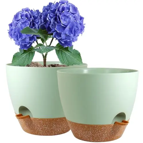 Macetas Autorriego WSMKSZ de 10” – 2 Pack de Jardineras Plásticas con Reservorio Profundo