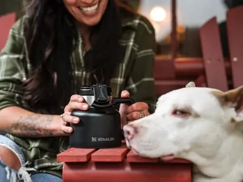 STANLEY Taza Admiral de 20 oz | Aislamiento Doble | Base Antideslizante | Acero Inoxidable - imagen 4