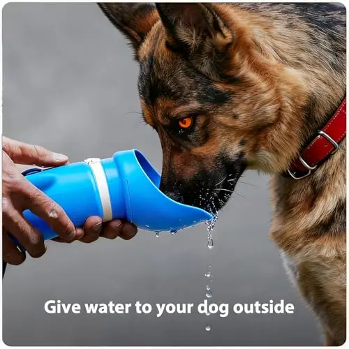 Botella de Agua para Perros Jalopink 2-en-1, Plegable y a Prueba de Fugas (19oz, Azul) - imagen 2