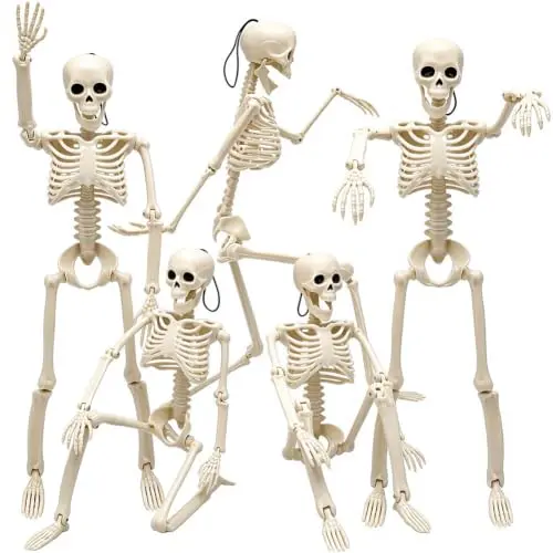 WODMAZ 5 Piezas de Esqueletos Halloween, 16" Cuerpo Completo con Joints Posables para Decoración